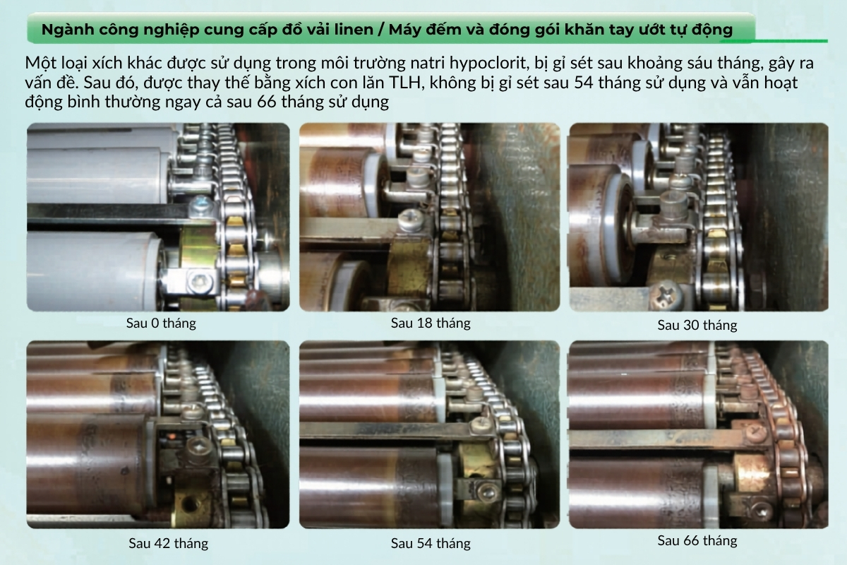 Giám sát sau khi lắp đặt và dữ liệu thử nghiệm xích TLH - OCM Nhật Bản
